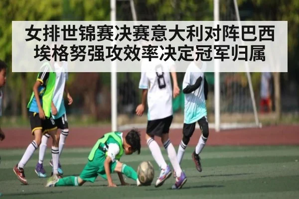 女排世锦赛决赛意大利对阵巴西埃格努强攻效率决定冠军归属 - kaiyun